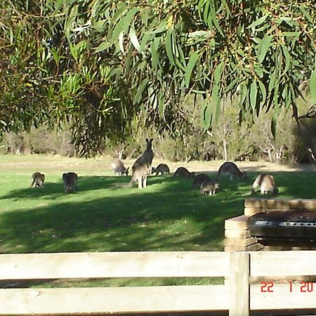 Mountain View Motor Inn & Holiday Lodges Halls Gap Exteriör bild