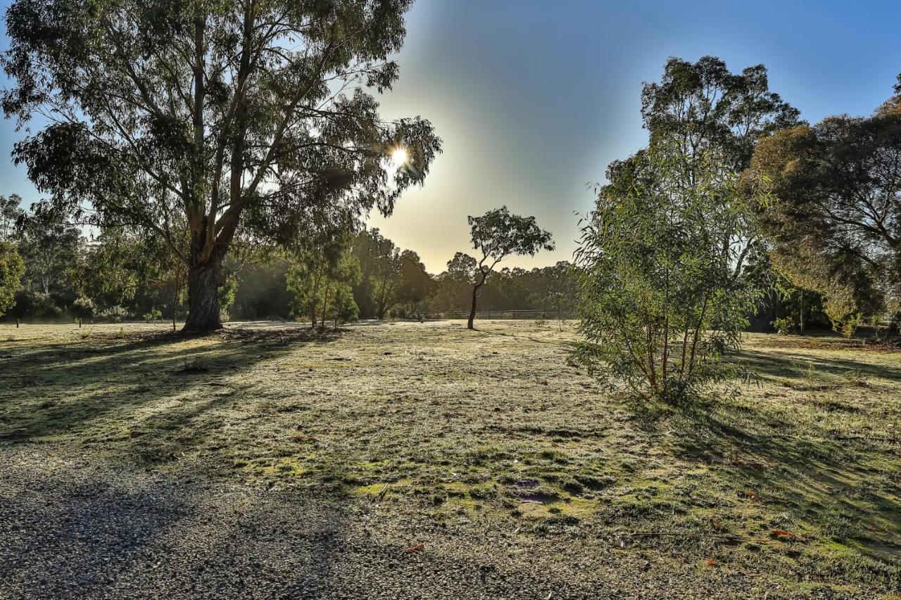 Mountain View Motor Inn & Holiday Lodges Halls Gap Exteriör bild